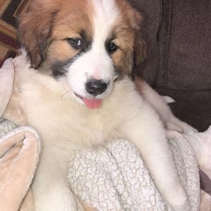 Meet your Posher, Matthew